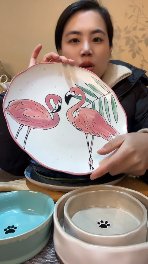 【闪购商品】瓷片瑕疵款 10.5英寸盘 介意勿拍