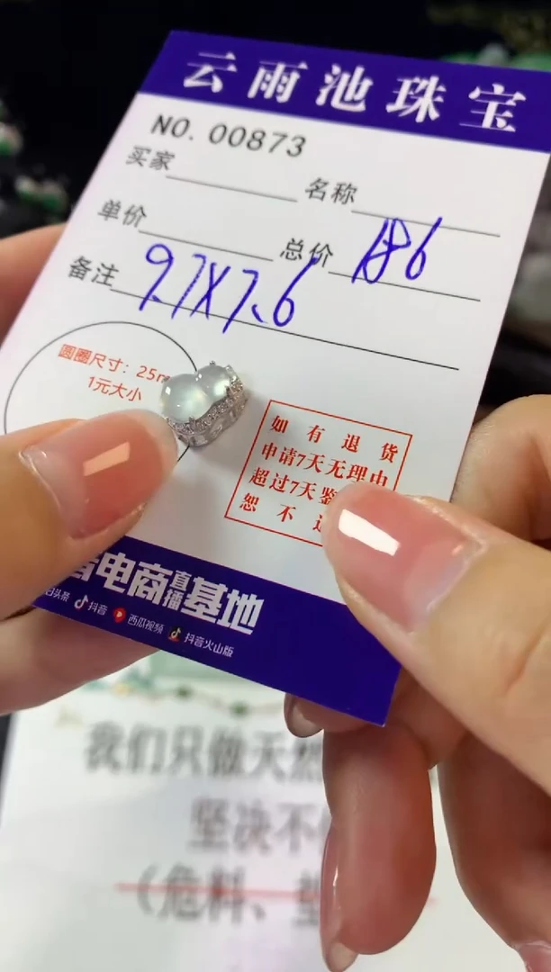 翡翠银S925镶嵌颈饰翡翠