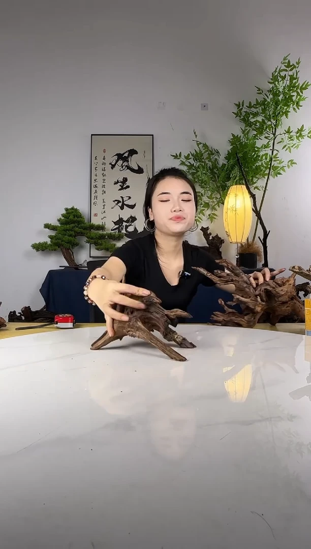 气**弹拍这个定向编号63