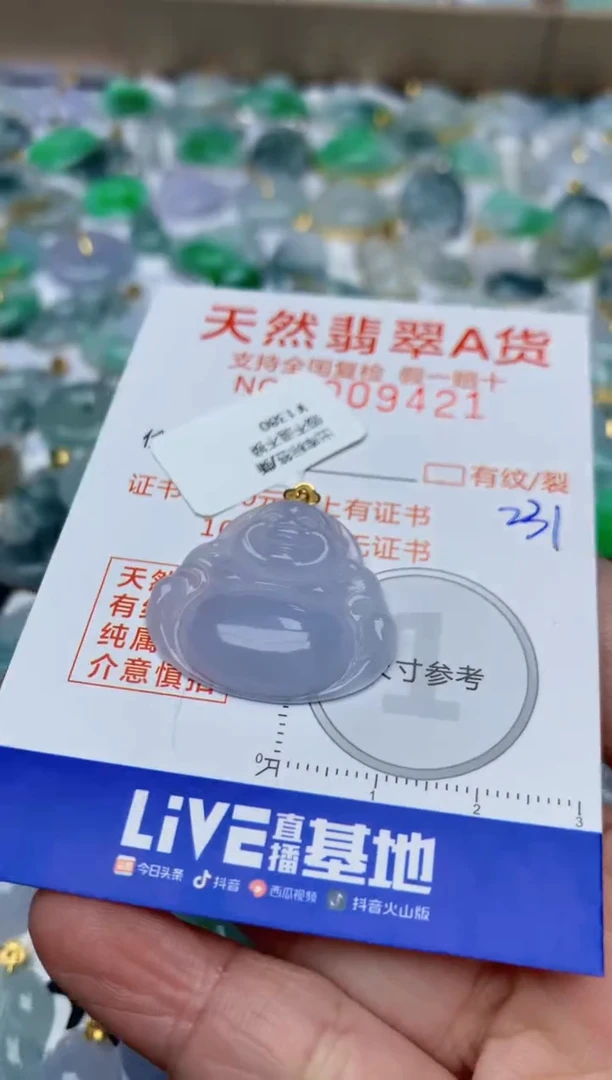 【闪购商品】翡翠颈饰18K金镶嵌天然翡翠A货