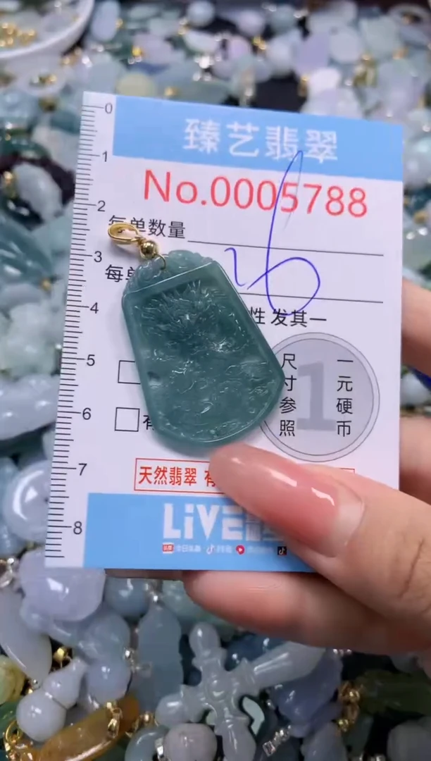 翡翠未镶嵌颈饰5788