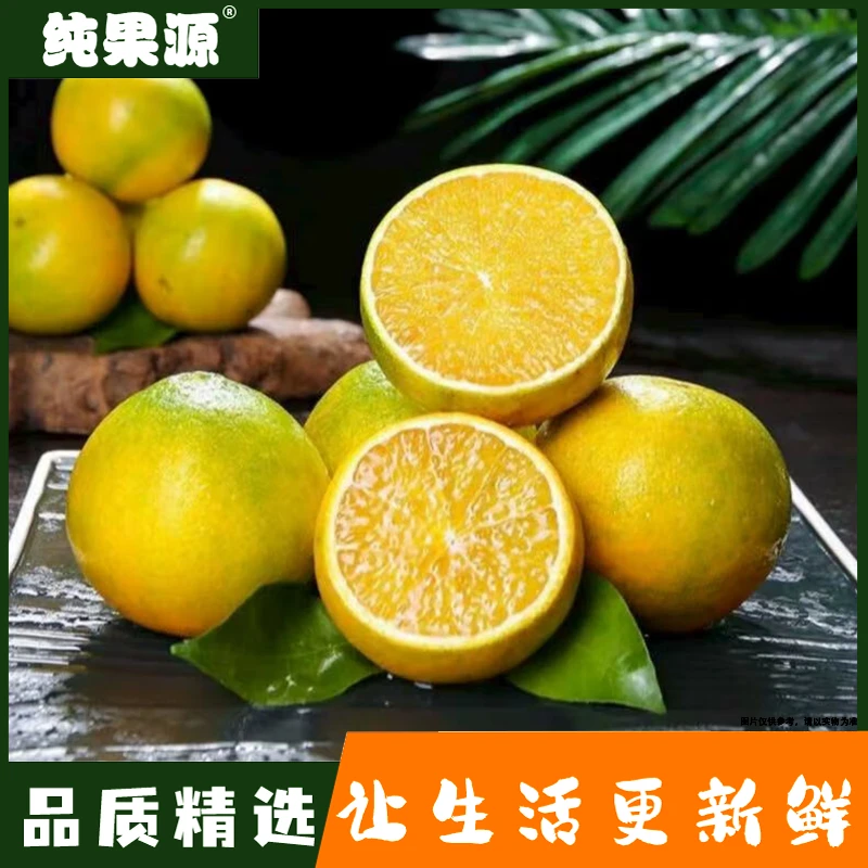 【纯果源小时达】红美人爱媛【2斤装】