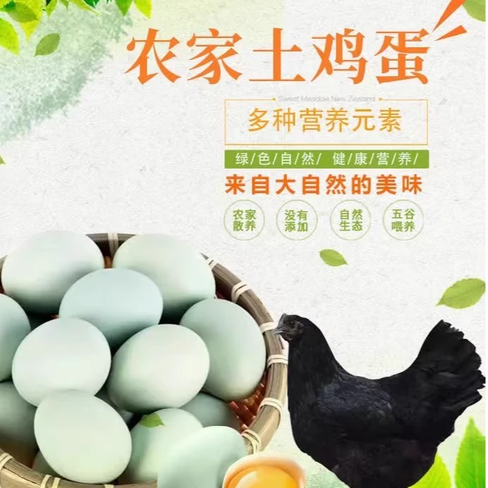 乌鸡蛋绿壳新鲜散养山林生态农家现捡营养健康