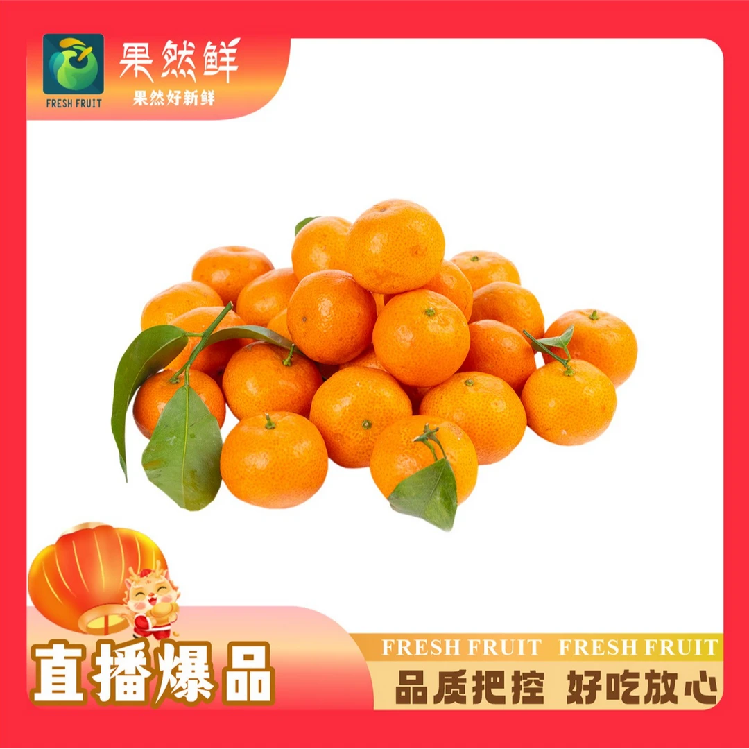 砂糖桔-1斤(约500g)沙糖桔广西壮族自治区广西壮族自治区桂林市