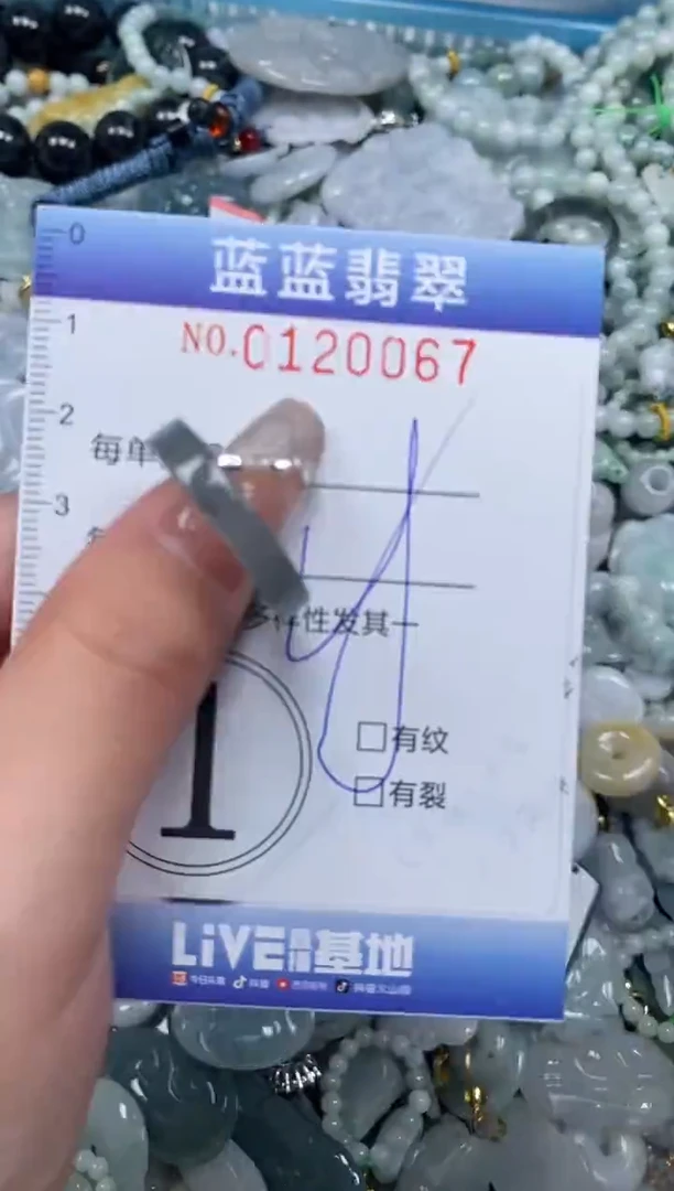【闪购商品】翡翠颈饰未镶嵌闪购0120067