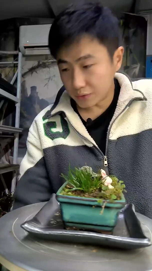 静**e中青园艺一物一拍花178