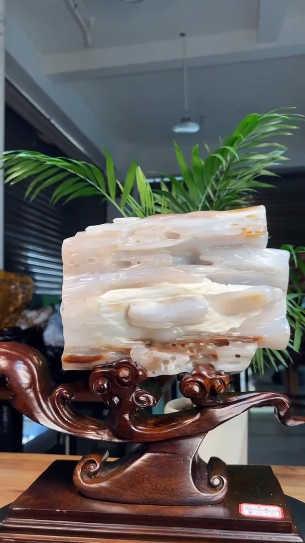 未镶嵌硅化玉（树化玉）珠宝奇石3115