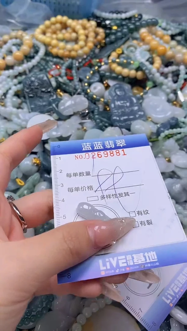 翡翠未镶嵌颈饰闪购0269881
