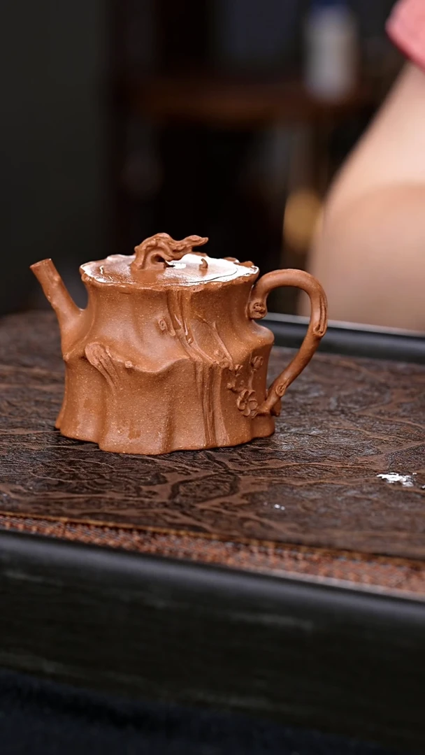茶壶紫砂守春壶 一物见春