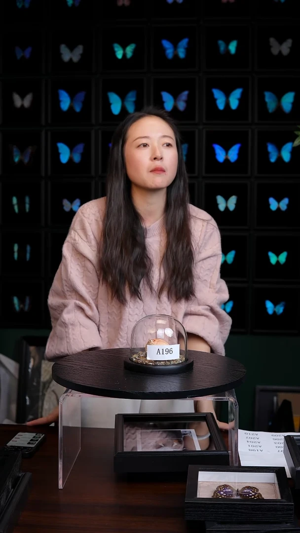 蝴蝶标本摆件竞拍A196