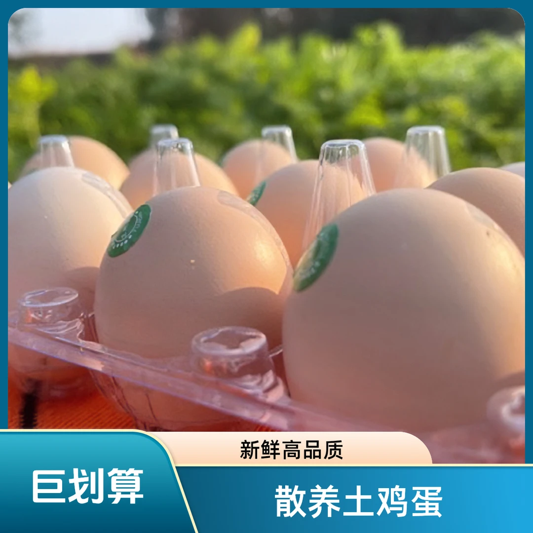 万羽家  散养土鸡蛋 新鲜土鸡蛋 高品质营养健康土鸡蛋 五谷喂养