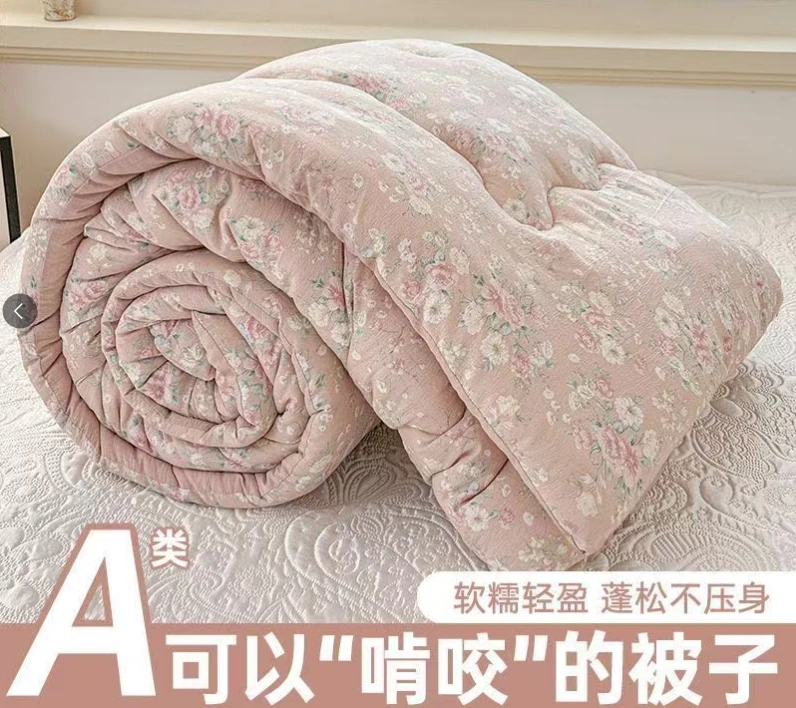 双层纱大豆纤维被子冬被加厚保暖被芯家用卧室春秋被四季通用