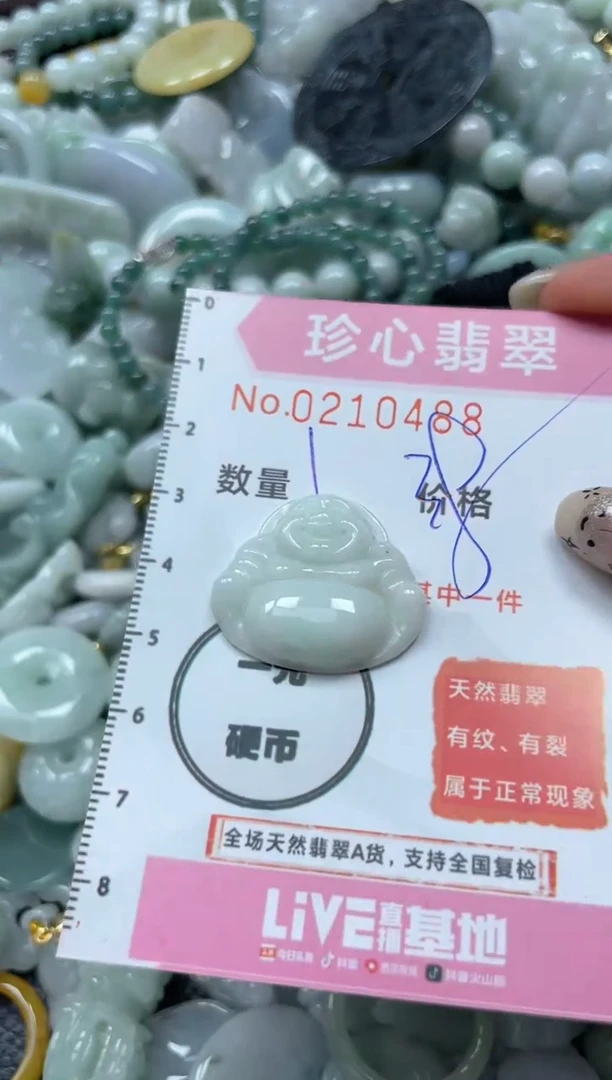 翡翠未镶嵌颈饰闪购0210488