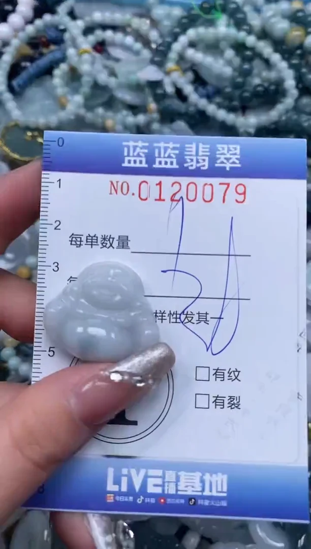 【闪购商品】翡翠颈饰未镶嵌闪购0120079