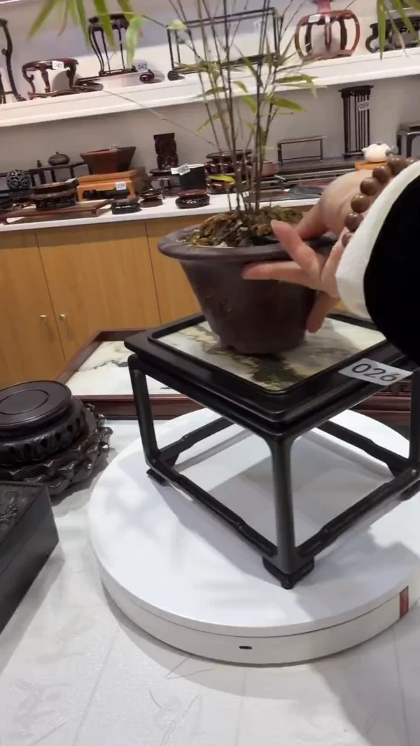 1紫砂紫砂紫砂紫砂紫砂