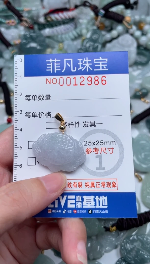 颈饰未镶嵌翡翠12986