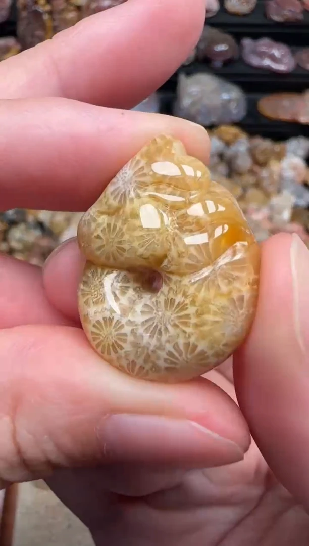 颈饰未镶嵌硅化珊瑚（珊瑚玉）171