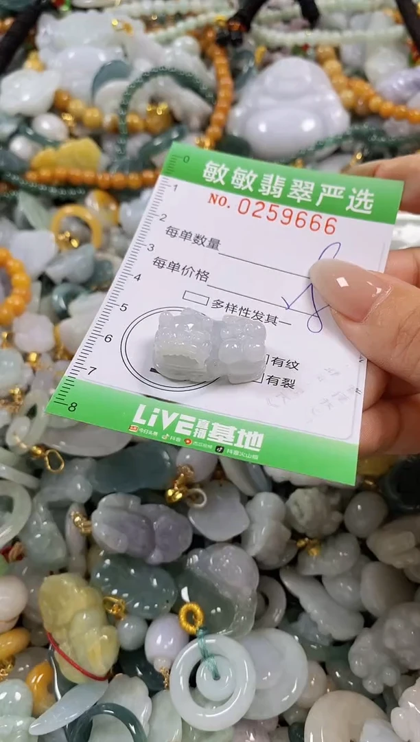 翡翠未镶嵌颈饰闪购0259666