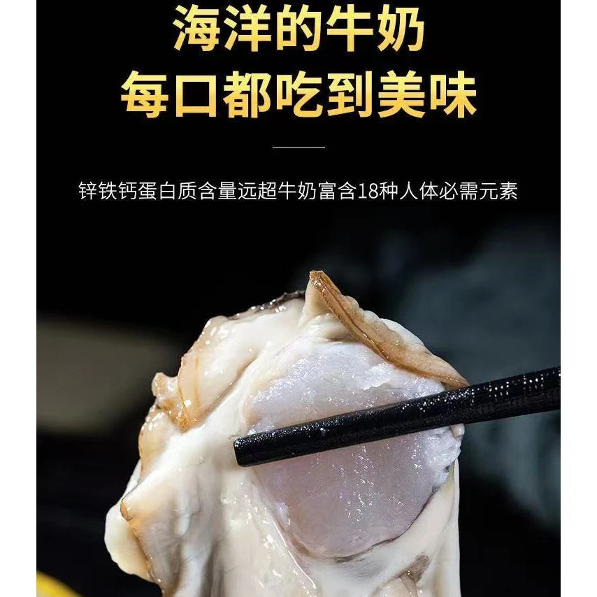 鲜活正宗乳山生蚝牡蛎海蛎子冷水蚝肥嫩到手5斤 顺丰包邮