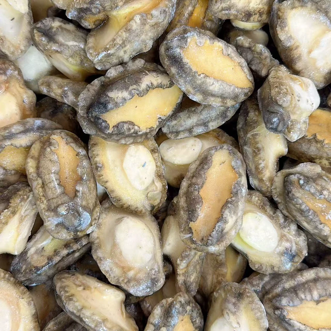 【冻】大鲍鱼2斤【9-11个左右1斤】带冰衣嫌小勿拍