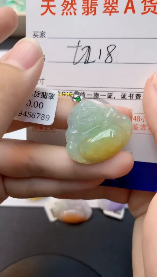 颈饰18K金镶嵌翡翠天然缅甸A货翡翠百元以上9元证书费自理