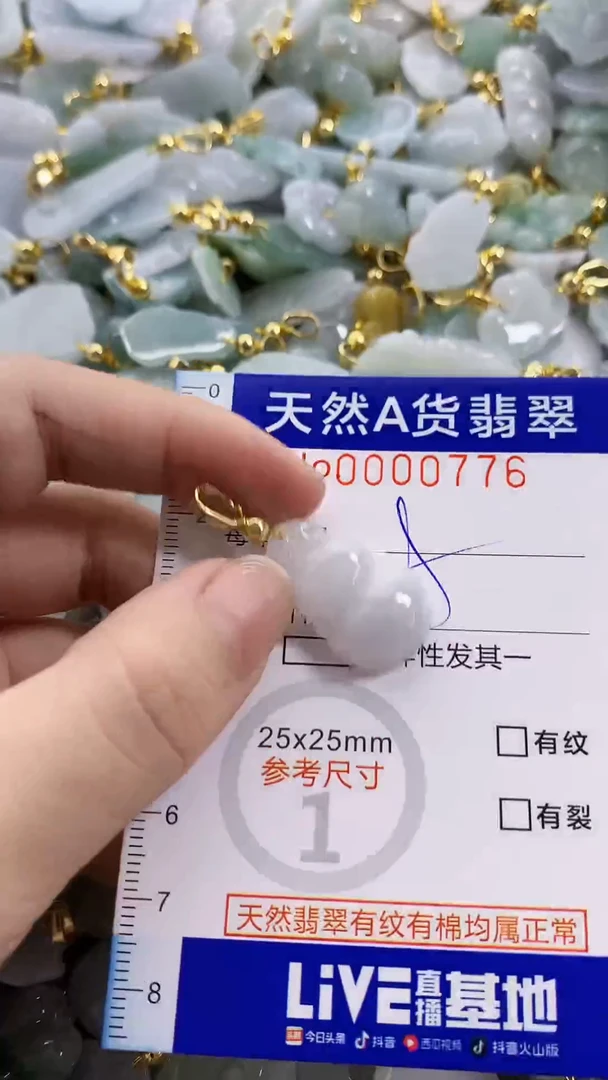 颈饰未镶嵌翡翠天然A货翡翠