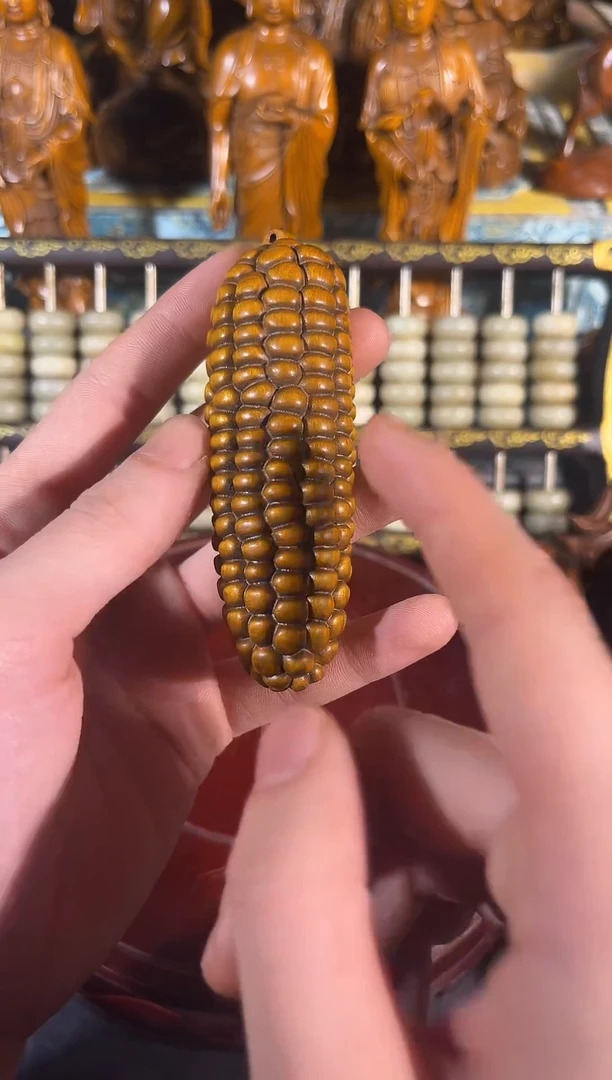 黄杨木011111111111