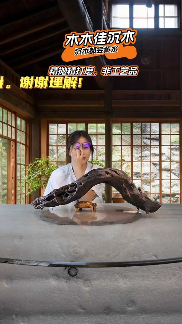 晴**海木木佳鱼缸造景沉木-593