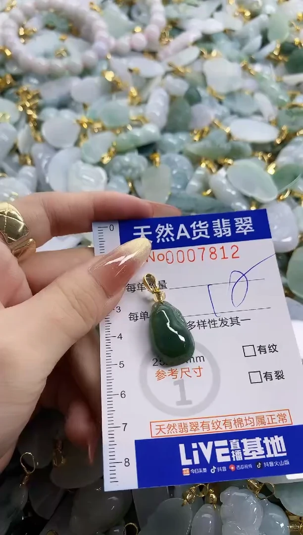 颈饰未镶嵌翡翠天然A货翡翠