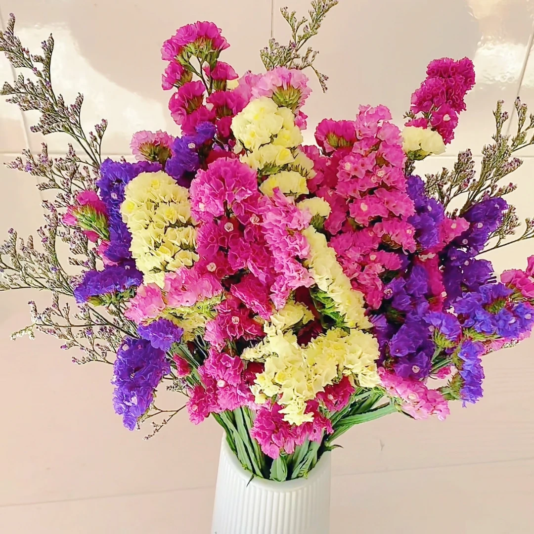 勿忘我花束【买一把送一把】 真花 干花客厅摆件 新鲜发货自然风干