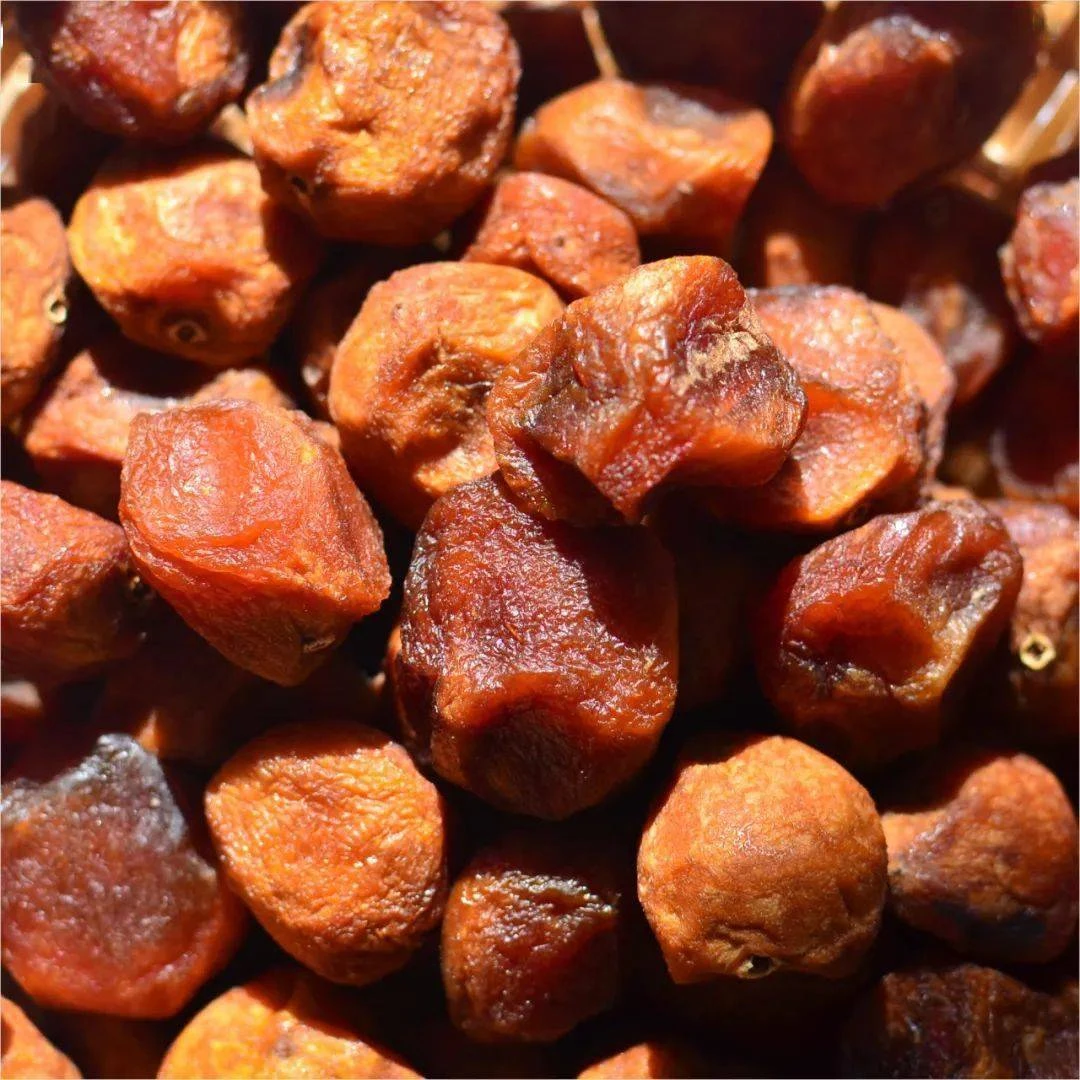 新疆阿克苏吊干杏四团杏干新疆直发