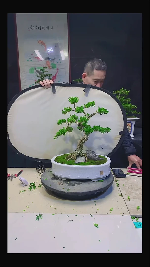 无花朵升****）1111111111111