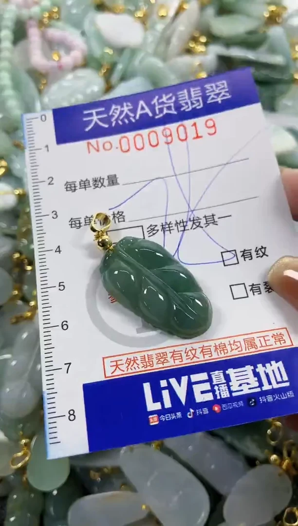颈饰未镶嵌翡翠天然A货翡翠