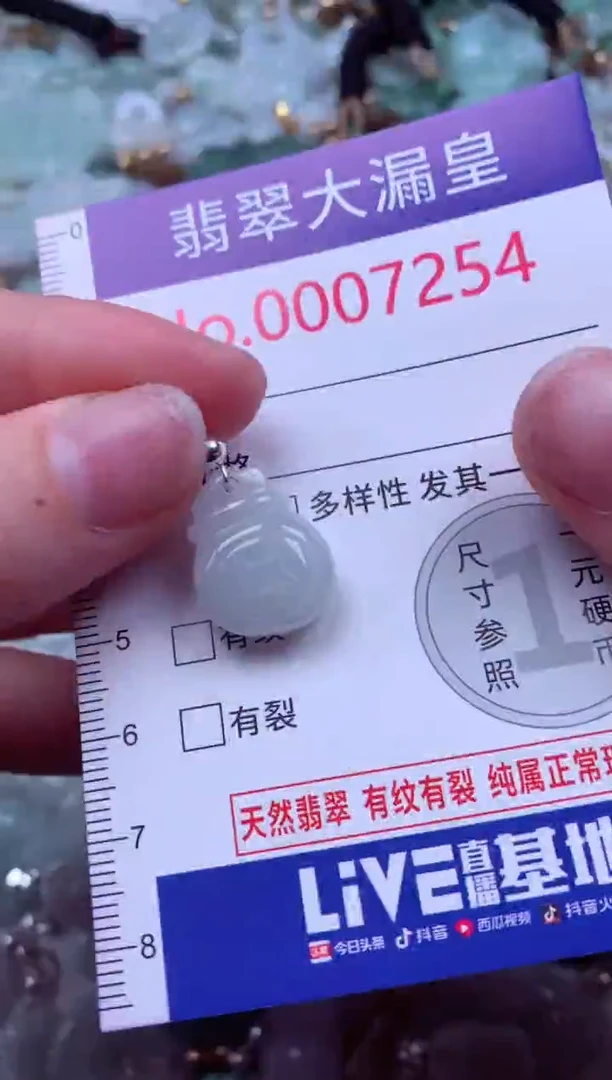 吊坠(不含链)未镶嵌翡翠7254