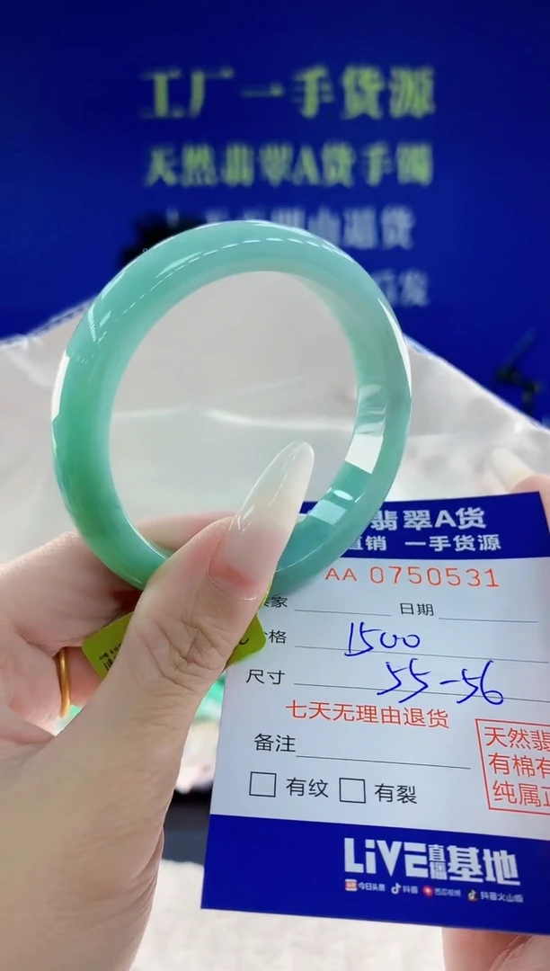 未镶嵌手镯翡翠31