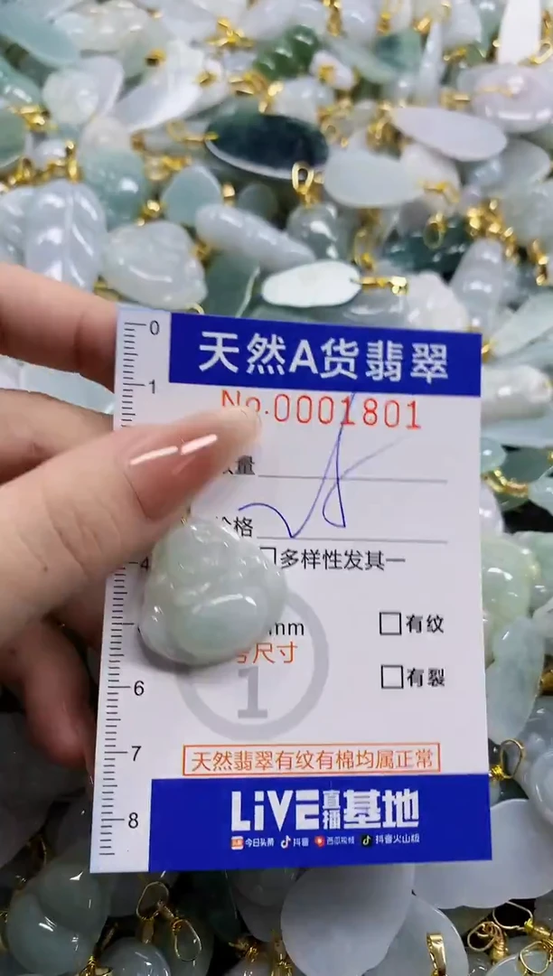 颈饰未镶嵌翡翠天然A货翡翠