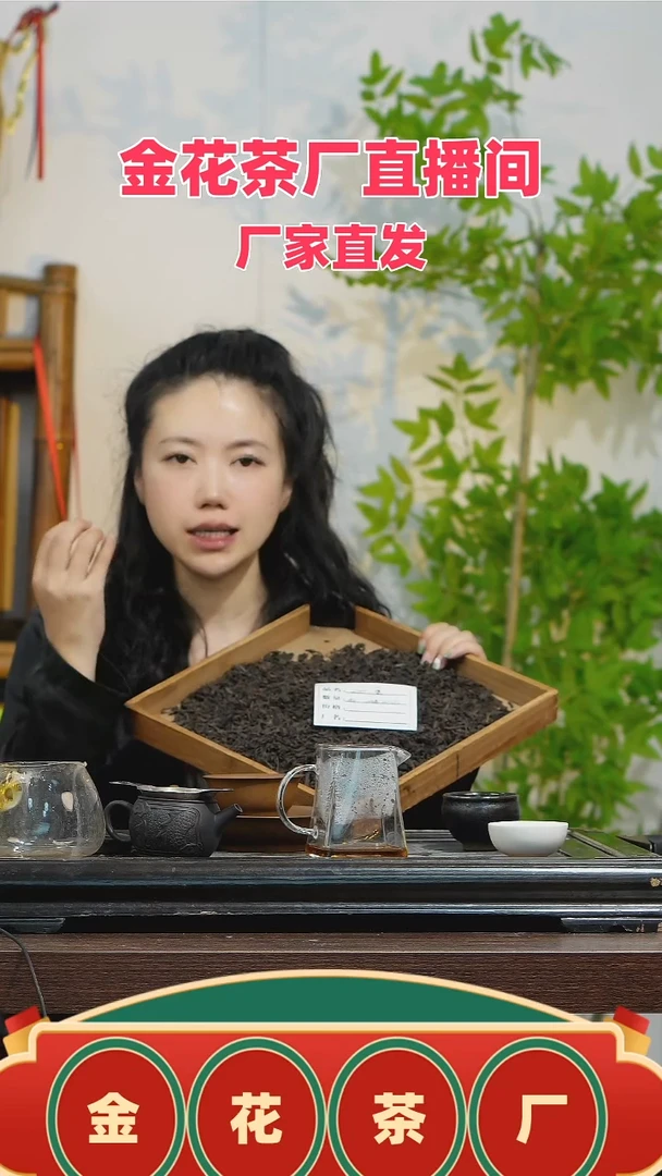 彩总优选2000年古树六堡茶50g