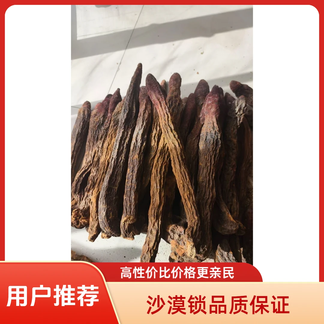 金锁巴丹吉林沙漠锁秋冬季干货