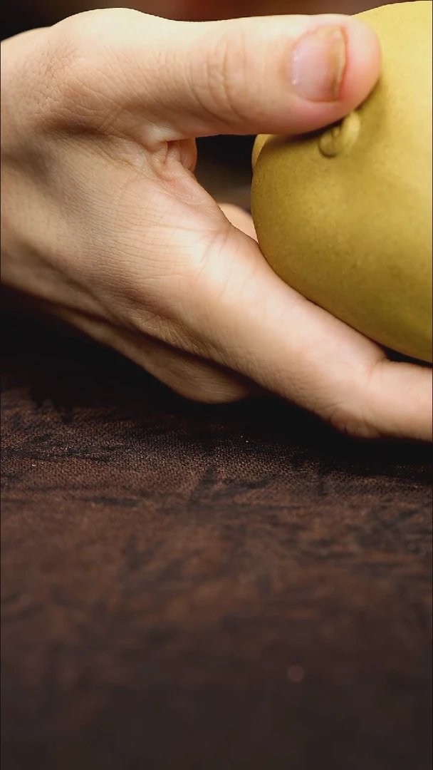 紫砂茶宠紫砂 大吞金兽