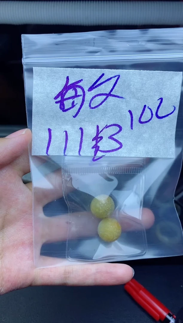 未镶嵌定制翡翠敏**兔拍一发一