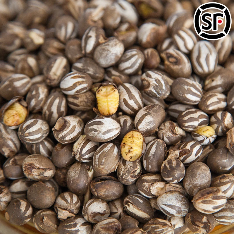 溪味道杨拉罐250g洋辣子坦克虫昆虫蚕蛹阳拉羊啦杨辣子罐冬钓鱼饵