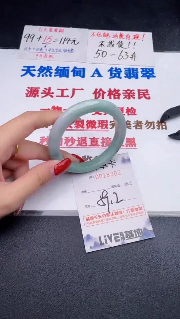 未镶嵌手镯翡翠02
