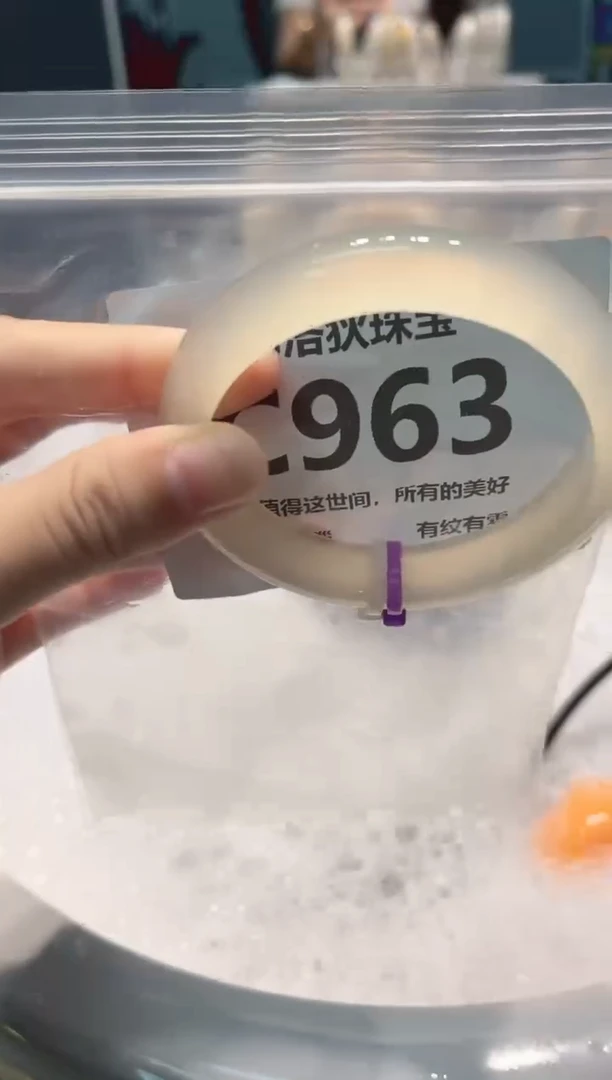 手镯玛瑙/玉髓未镶嵌C963