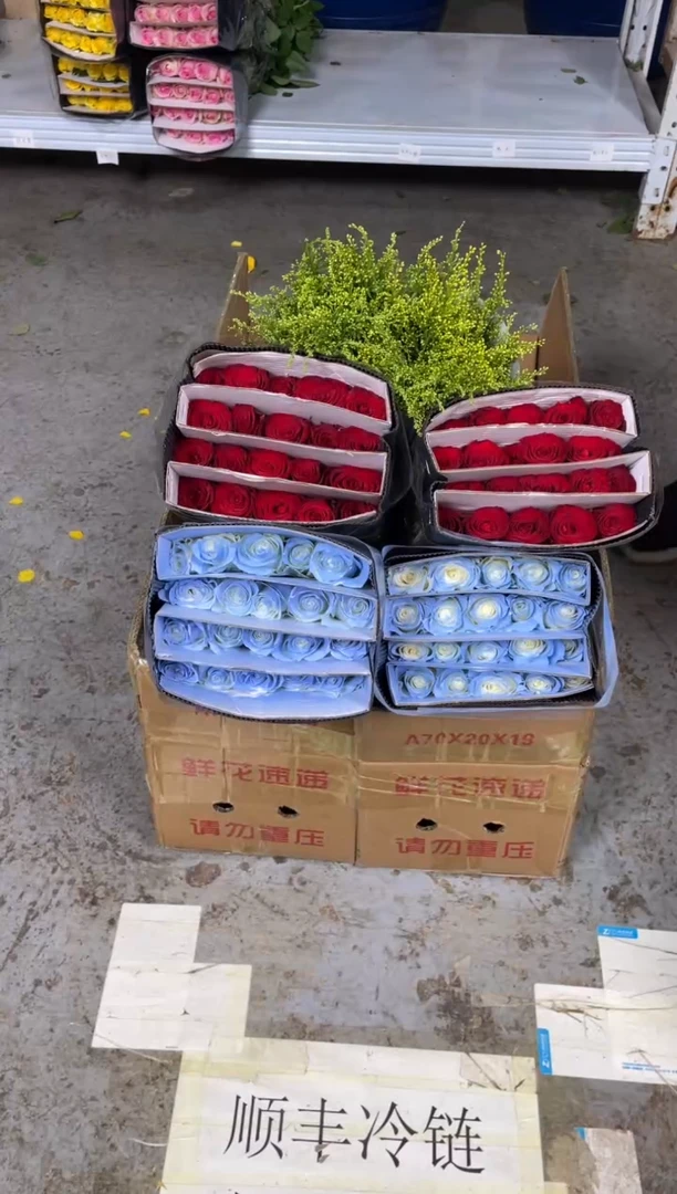 碎冰蓝20枝+高原红20枝+黄莺