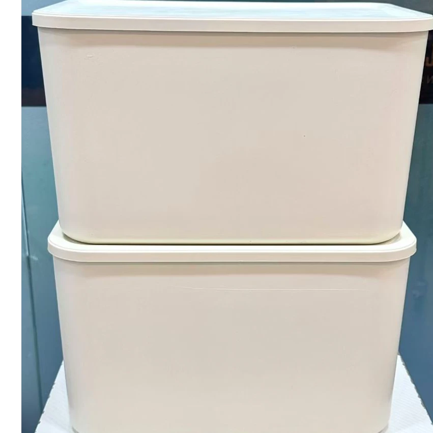 兰掌柜专属收纳箱两个装杂物收纳箱家用整理储物箱