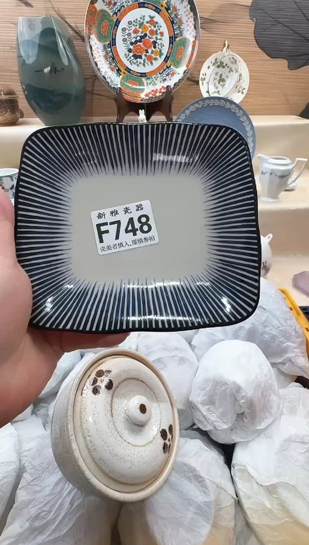 瓷片◉*◉          F748