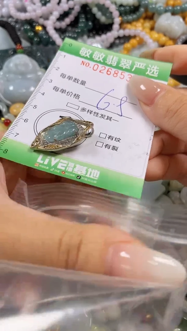 翡翠未镶嵌颈饰闪购0268532