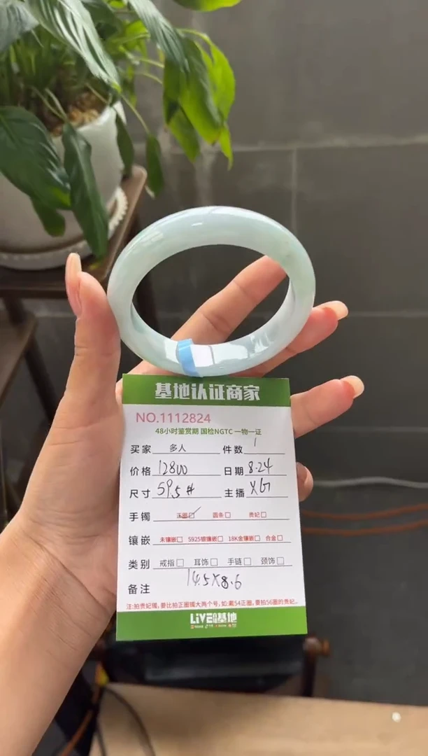 未镶嵌手镯翡翠多人