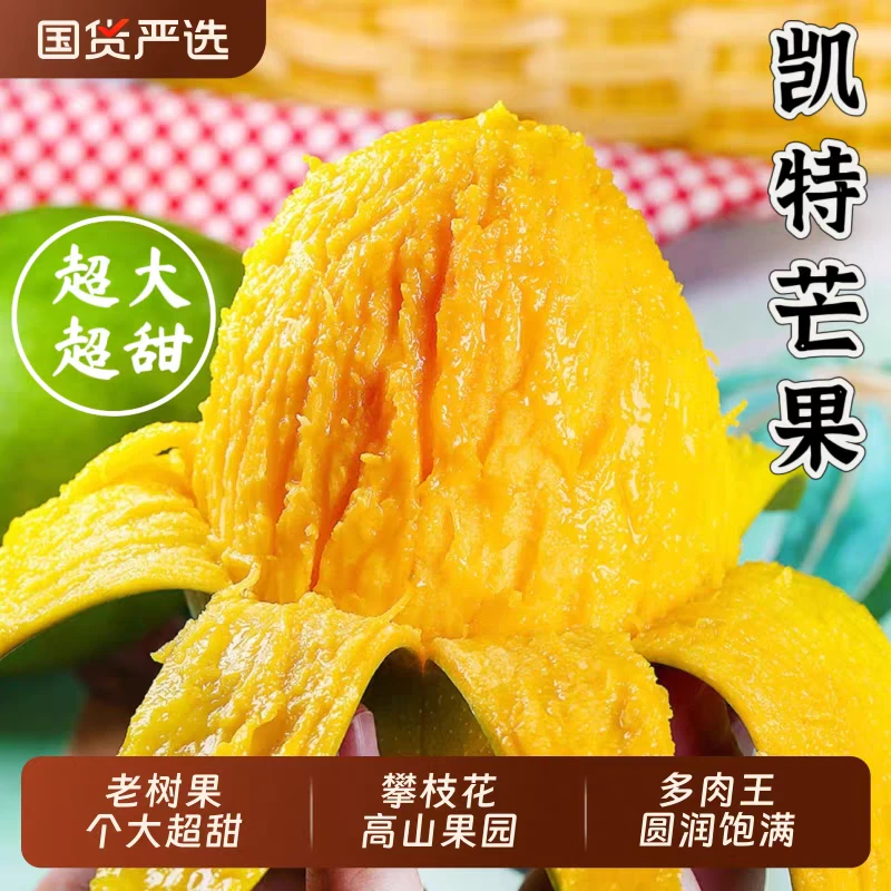 爆甜农家现摘凯特芒果新鲜应季水果大芒果带箱9-10斤 单果500g起