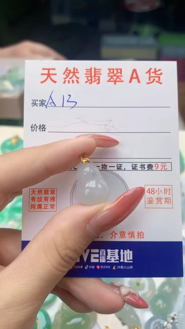 颈饰未镶嵌翡翠纯天然翡翠A货挂件